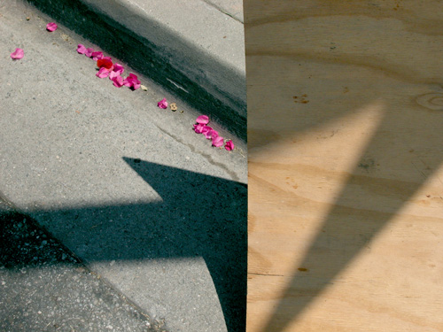 Gutter Debris