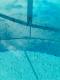 Pool Soot 3