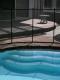 Pool, Table
