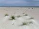 Sand Shadows
