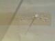 Wall Blisters