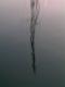 Wisp