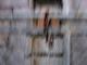 Intrusion