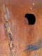 Pipe Window
