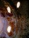 Pipe Interior 1