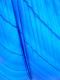 Bluest Sky