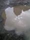 Hole in the Sky