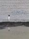 Puddle