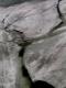 Cracked River 3