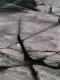 Cracked River