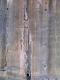 Wall Madonna